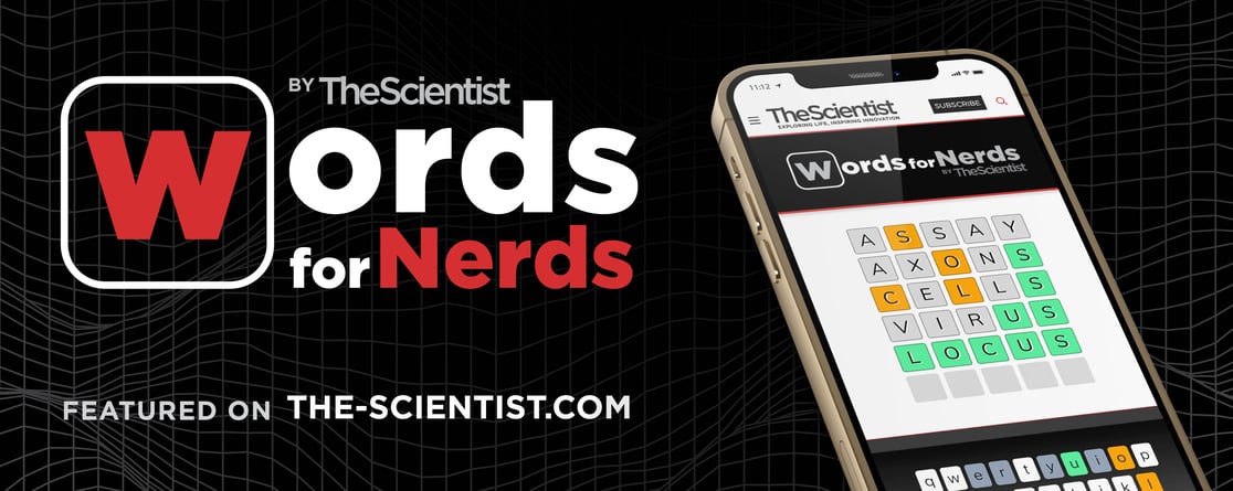 words for nerds game