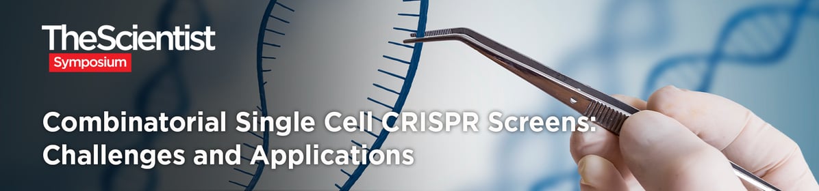 Combinatorial Single Cell CRISPR Screens: Challenges and Applications