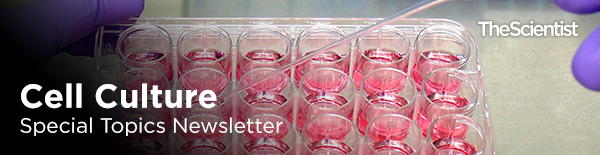 The Scientist - Cell Culture - Special Topics Newsletter