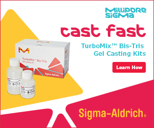 MSIG-Cast Fast- Turbomix Bis-Tris Gel Casting Kits- Learn How (Banner)