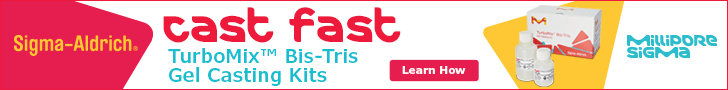 MSIG-Cast Fast- Turbomix Bis-Tris Gel Casting Kits- Learn How 