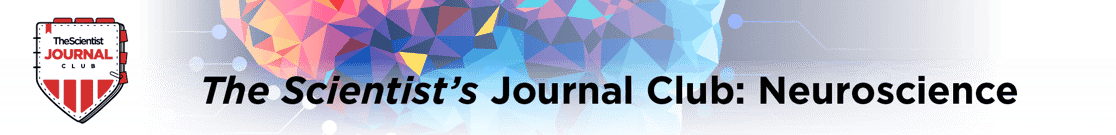 The Scientist - Jornal Club - Neuroscience - Internal Promotion