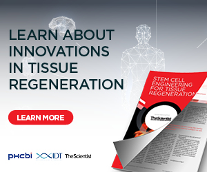 Learn About Innovations In Tissue Regeneration