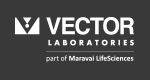 Vector Logo on 393939